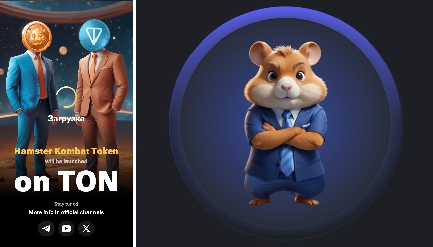 Заставка Hamster Kombat и хомяк 7-ого уровня.