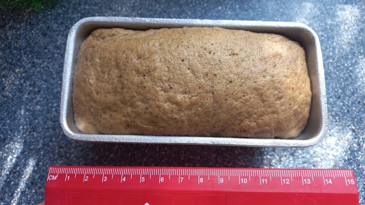 Это и другие фото в статье сделаны автором и принадлежат ему на условиях авторского права