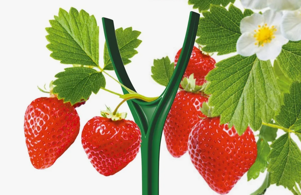10 полезных товаров для Дачи, которых у вас еще нет - подборка с Wildberries