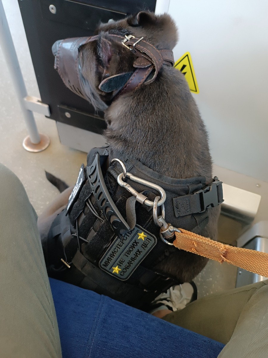 Поездка в полном боекомплекте