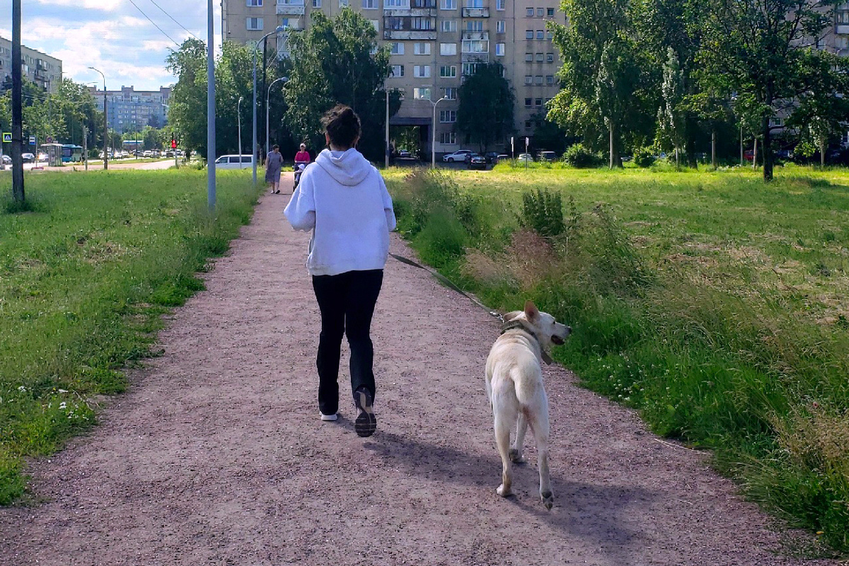 Бег в городе: самый лучший компаньон | Некогда бегать | Дзен