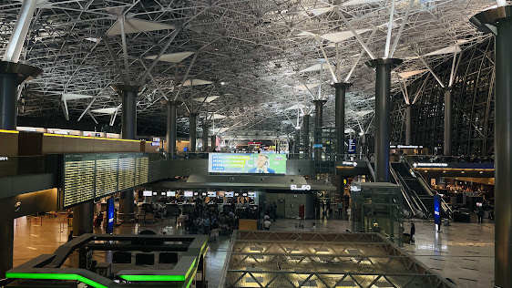 Зал аэропорта Внуково. Москва