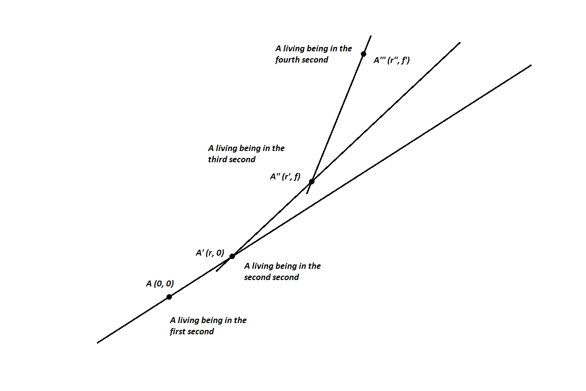 A living being moves relative to itself in the past. The segment AA' is the path, traversed by a living being, in a unit of time the length of this segment is the velocity. A straight line, that is drawn through two points A and A', is called the trajectory of the point movement. The origin of coordinates is taken each time anew in the position of a living being in the previous second. Each next coordinate (r) is the distance relative to itself in the previous second, and each next coordinate (f) is the angle of deviation from its trajectory in the previous second.