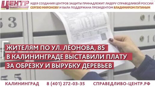 НОВАЯ СТРОЧКА В ПЛАТЕЖКЕ ЗА КВАРТИРУ – «ОБРЕЗКА И ВЫРУБКА ДЕРЕВЬЕВ»