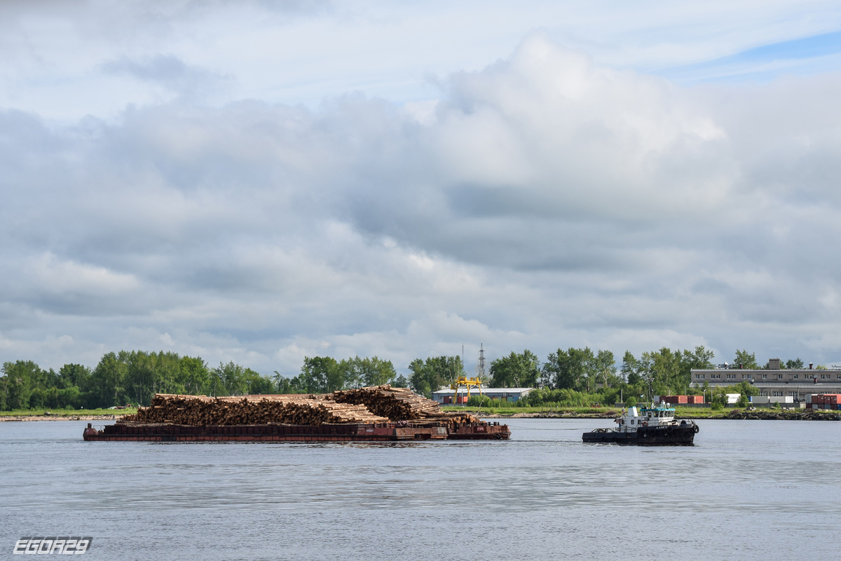 «СпутникСервис» внедряет систему контроля флота для ведущей логистической судоходной компании. Фото с сайта fleetphoto.ru (EGOR29)