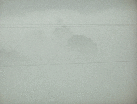 Giphy.com/https://giphy.com/gifs/fog-KPtOFhewRGWl2