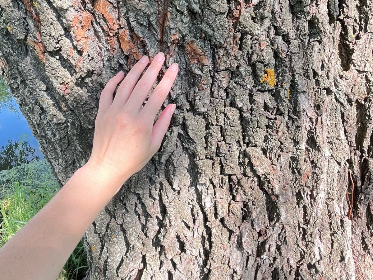 Правильный выбор - это всегда тот выбор, который ведет к Жизни