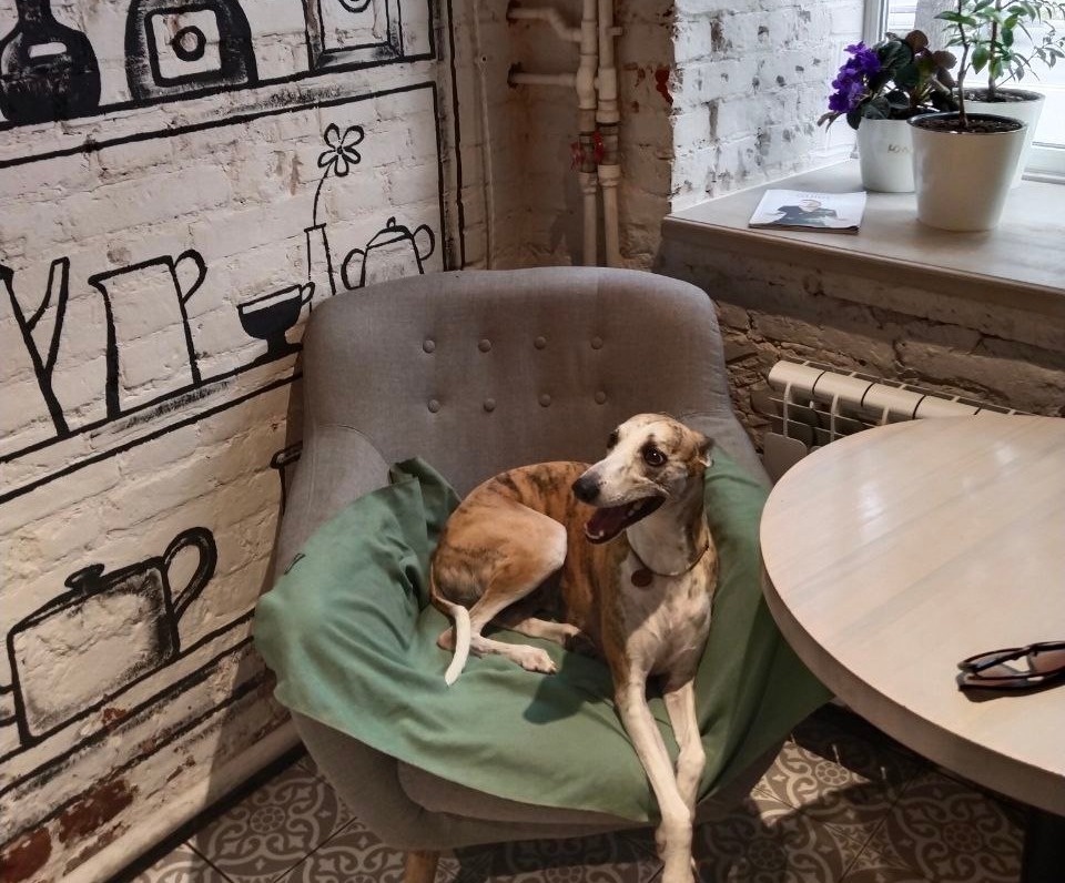 Завтрак в Рязани