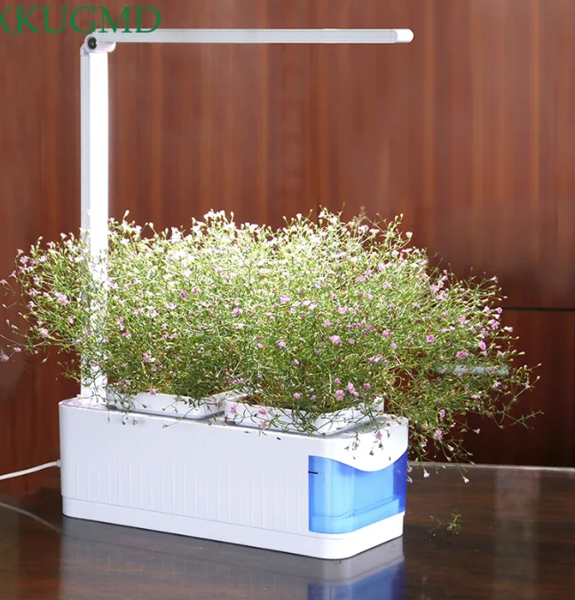 Озеленение внутренних помещений выходит на новый уровень, предлагая оригинальные и нестандартные решения. Эти направления отвечают требованиям времени и удовлетворяют вкусы самых требовательных ценителей природы, стремящихся создать уют и гармонию в своем доме.