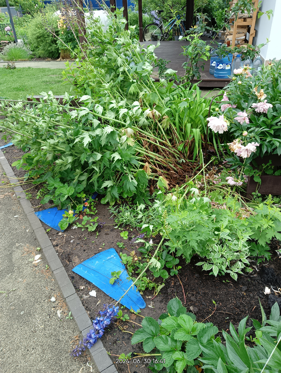 Ливни прошли, а что осталось | Швец&Жнец | Дзен