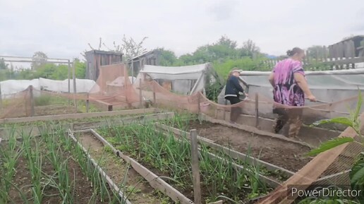 Жизнь в глубинке. Родители и Кира. Нам купили. Достали эти коты. Огородные дела. Готовим чебуреки. Аборигенка. 29.30.06.24