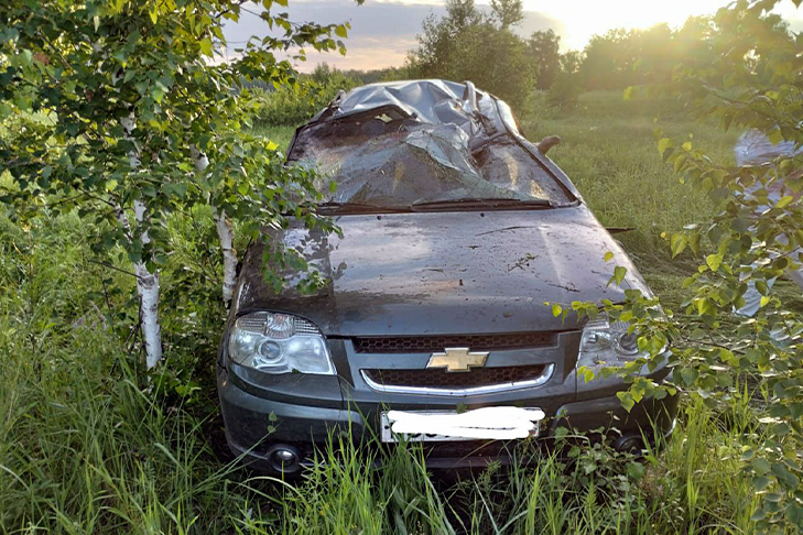    Фото Госавтоинспекции Новосибирской области
