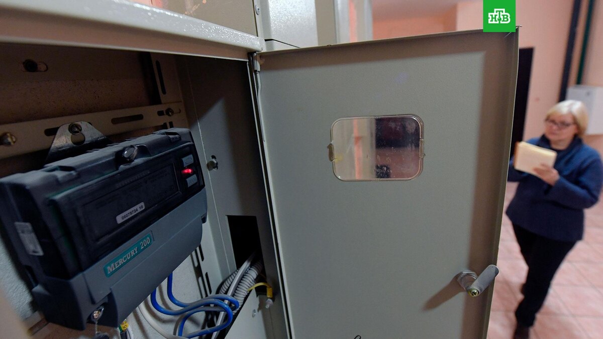    Фото: РИА Новости © 2024, Кирилл Каллиников