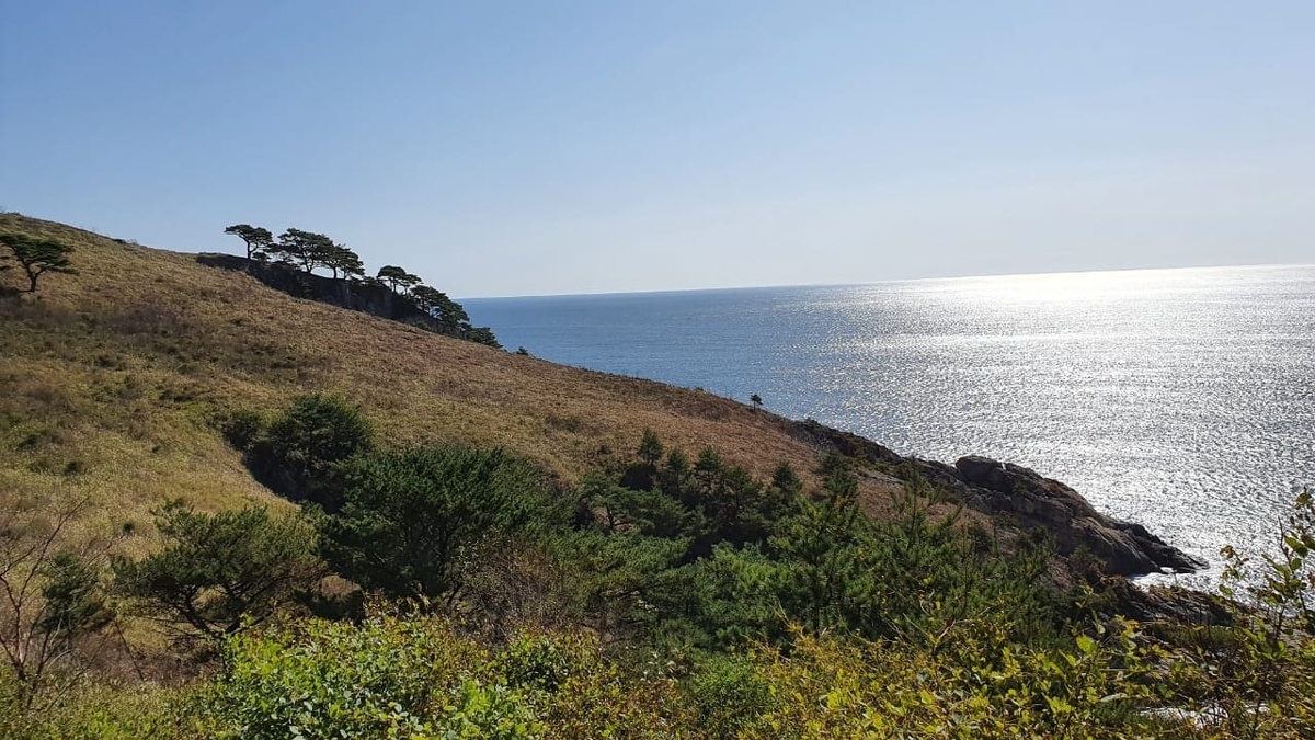     Источник: vostokmedia.com