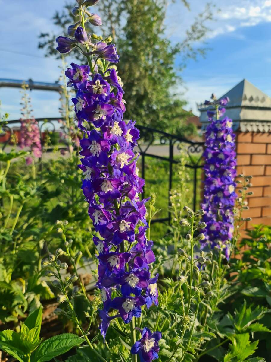 В галерее 3 фото