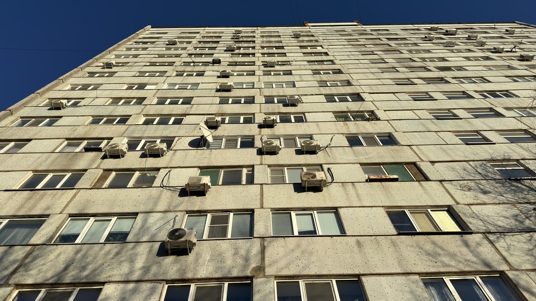    Фото: Александр Лёгкий/Globallookpress.