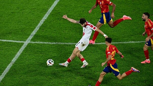    © AFP 2024 / TOBIAS SCHWARZ
