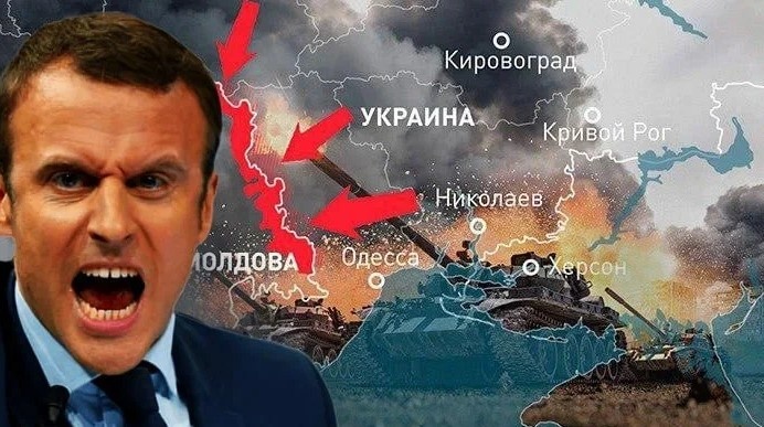    Фото: Коллаж Царьград