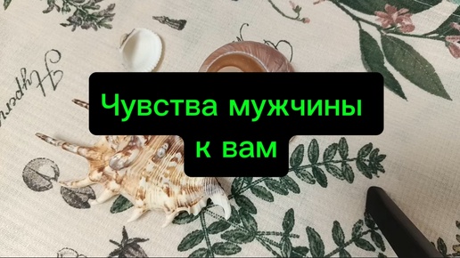 Гадание на картах Таро на чувства мужчины к вам. Узнайте, о чем он думает, решил ли что-то?