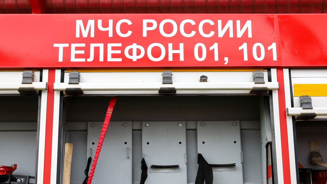    Фото: Elena Mayorova/Globallookpress