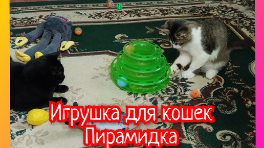 Игрушка для кошек 