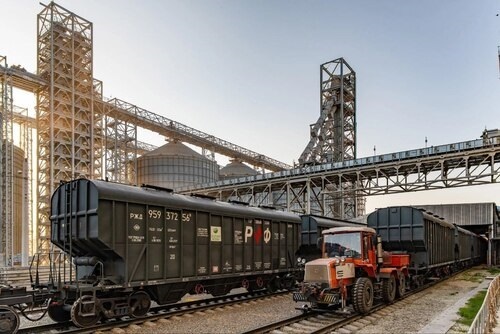    Фото: пресс-служба администрации Краснодарского края