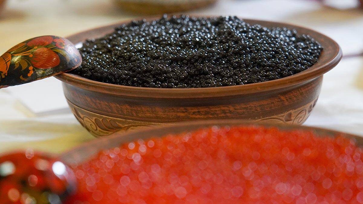    Фото: Александр Авилов / АГН Москва