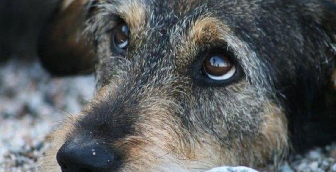    Фото: osnmedia.ru