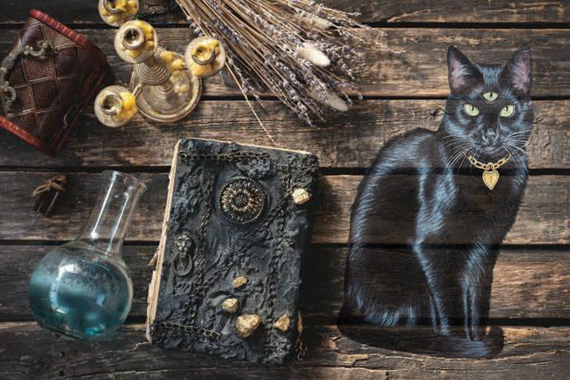 Фото: Яндекс картинки