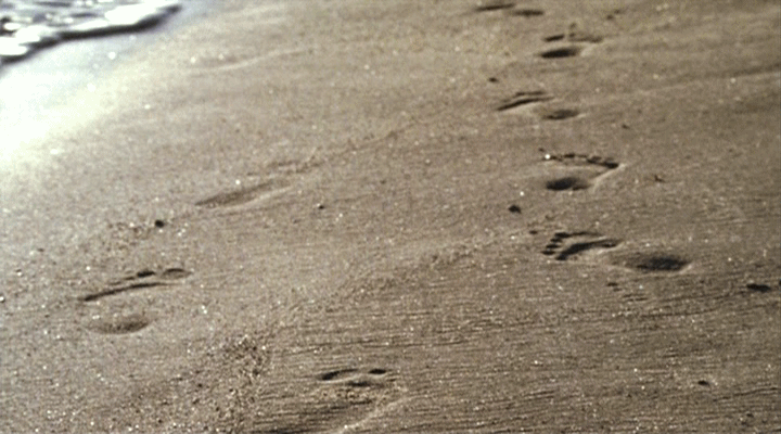 Фото: Яндекс картинки