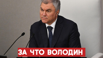 Володин навёл порядок: что стояло за жесткой критикой в адрес депутатов Госдумы.