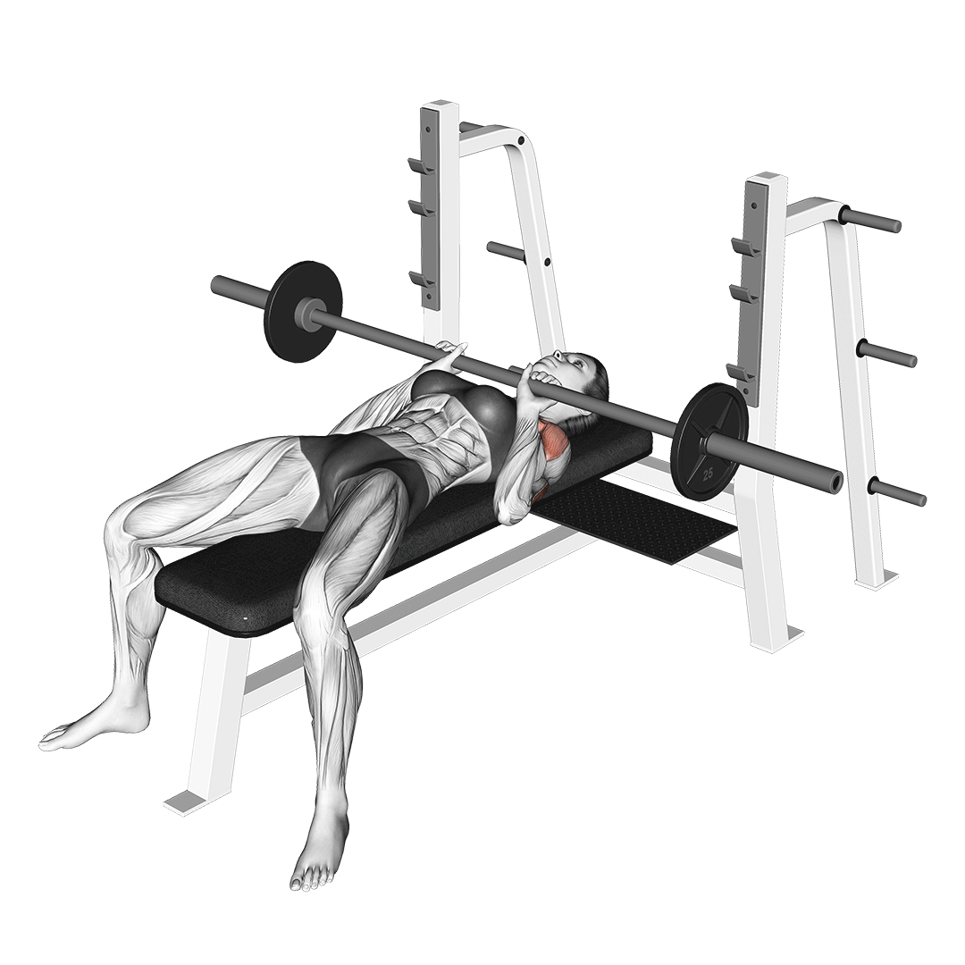 Smith Machine close-Grip Bench Press. Close Grip Bench Press. Smith Machine Bench Press. Жим лежа узким хватом.