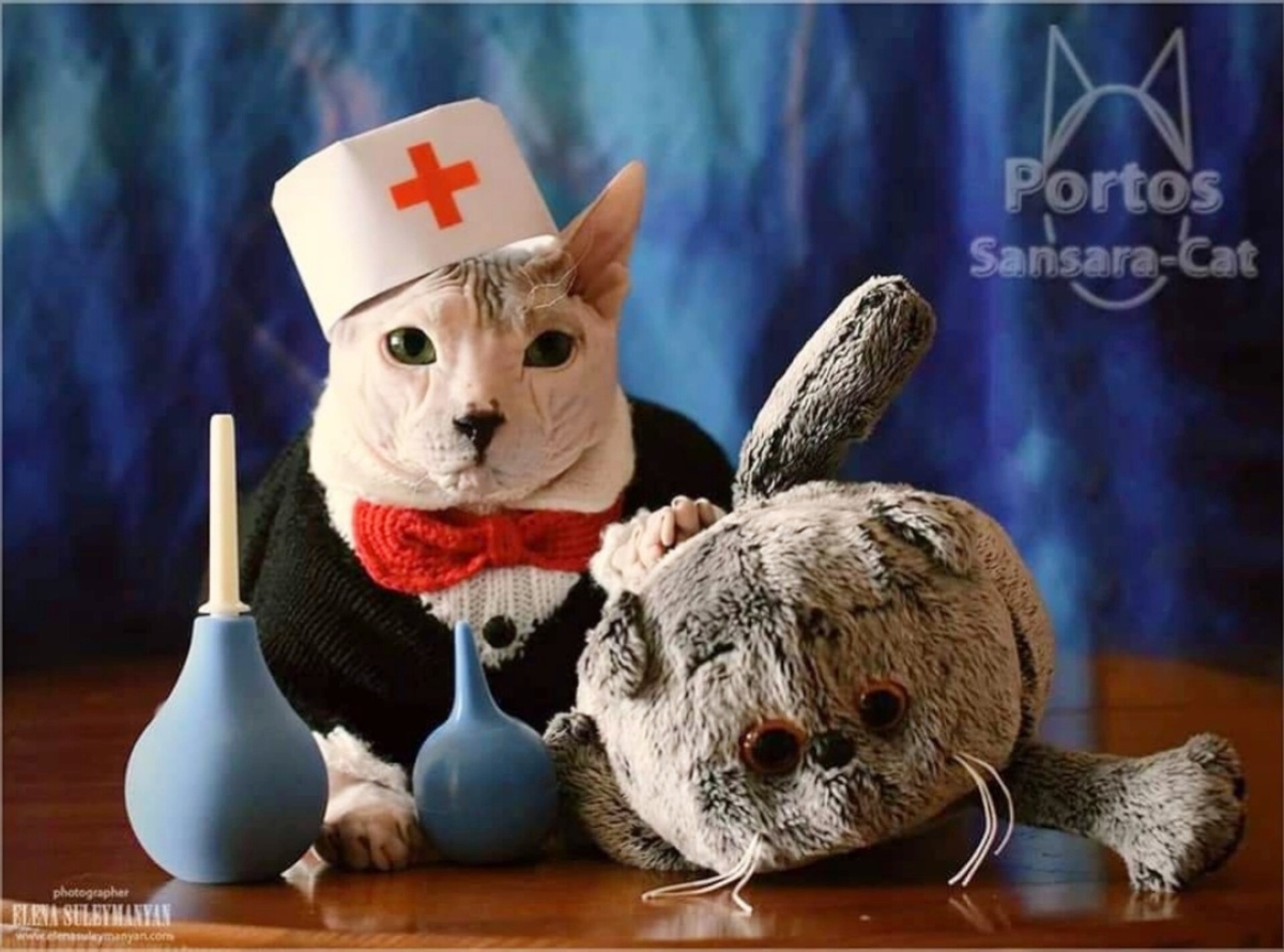 Доктора вызывали?