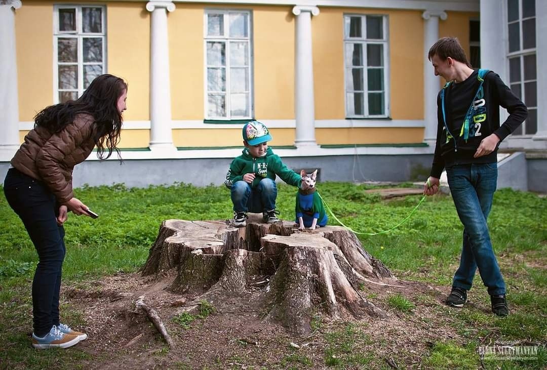 Особую радость общение доставляет детям