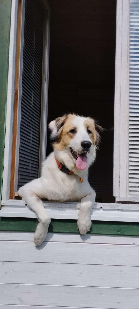 Наша Никуня.