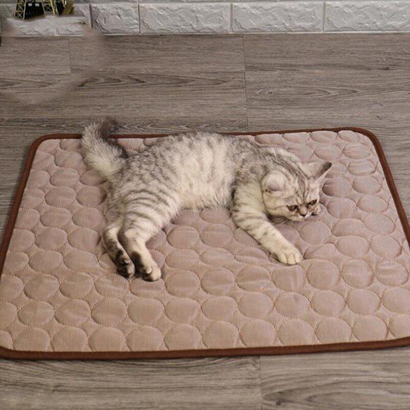 Фото из Интернета.