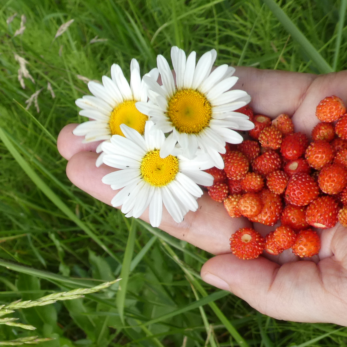 Листайте карусель, там фотографии наших ежегодных купаний. 😊💚
