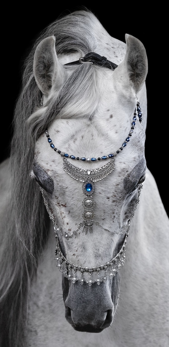 Northern Lights в объективе Татьяны Кругловой