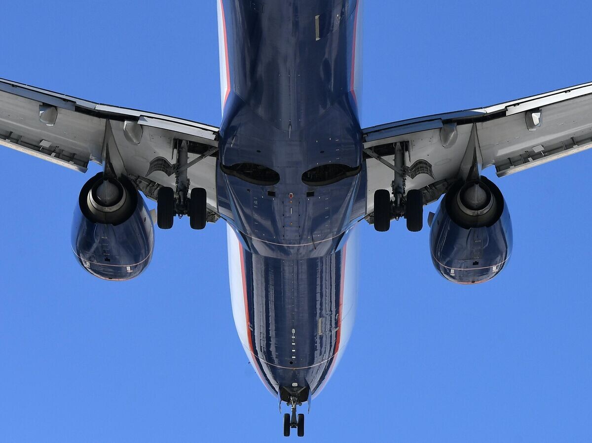    Самолет Boeing-737-800 авиакомпании "Аэрофлот"© РИА Новости / Илья Наймушин