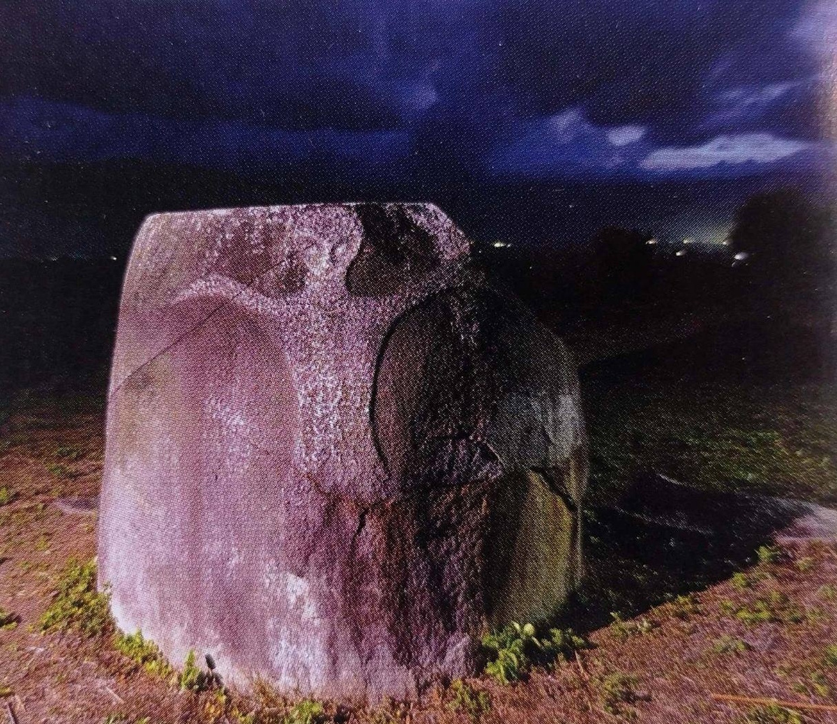 Это явно не человек.
Источник фото: https://sun1-28.userapi.com/impg/BznC7Fng9J1XkUQw4gIZAj7QX8fMYuAqmR0RYw/RTCdZKYjmkM.jpg?size=1280x1052&quality=96&sign=1bfa17f2b79f0d329296c2320ca1398a&type=album