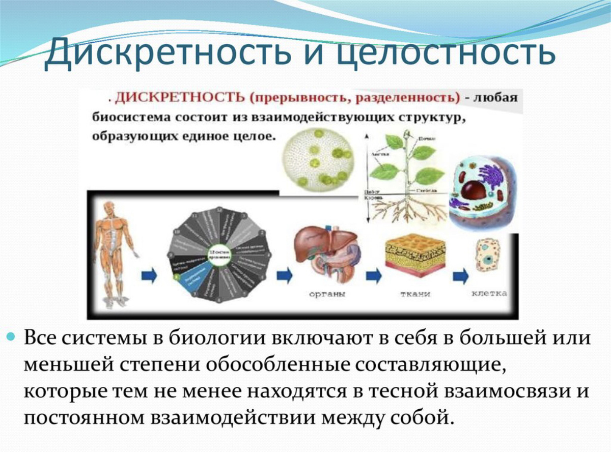 Дискретность в природе