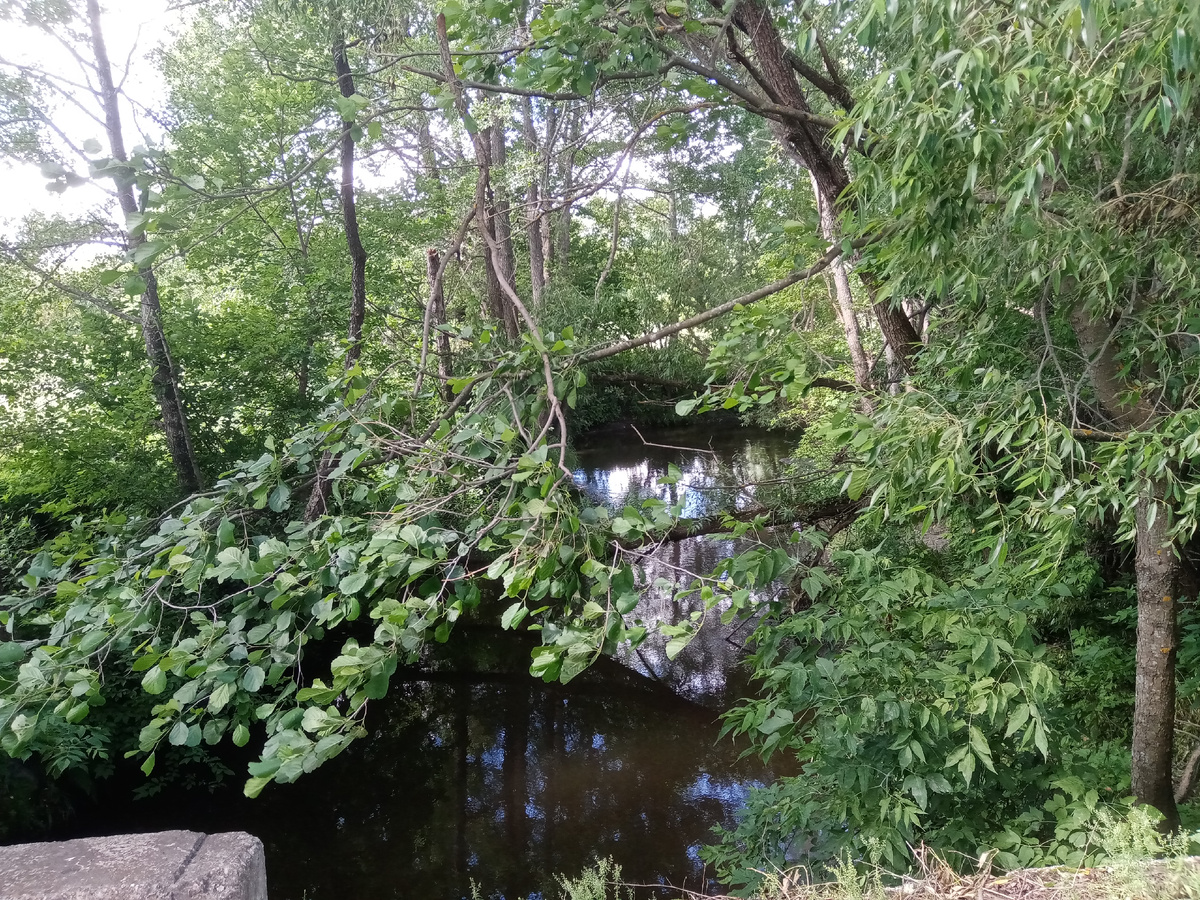 А вот и реука Барыш