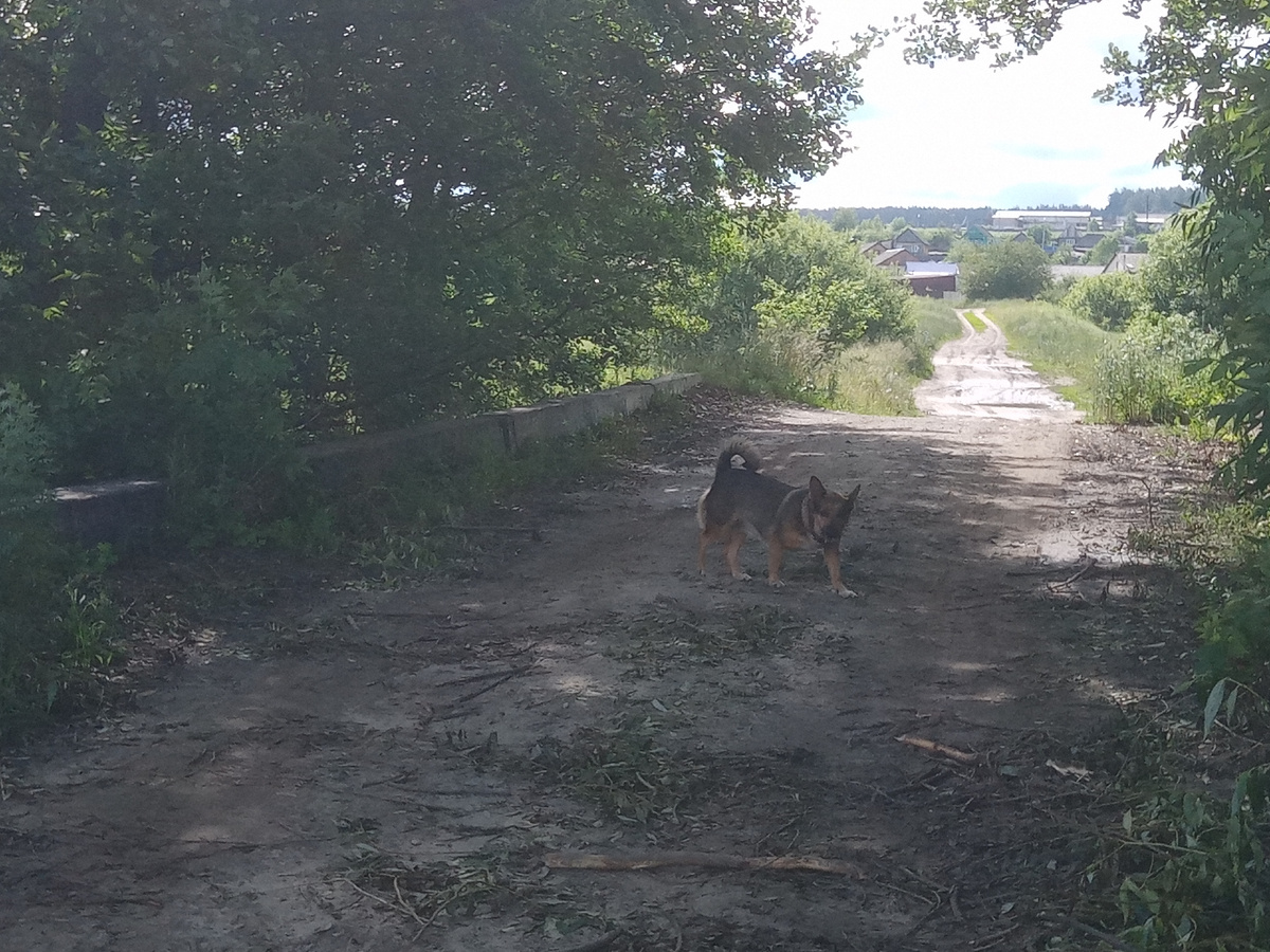 Грета испытывает прочность моста.