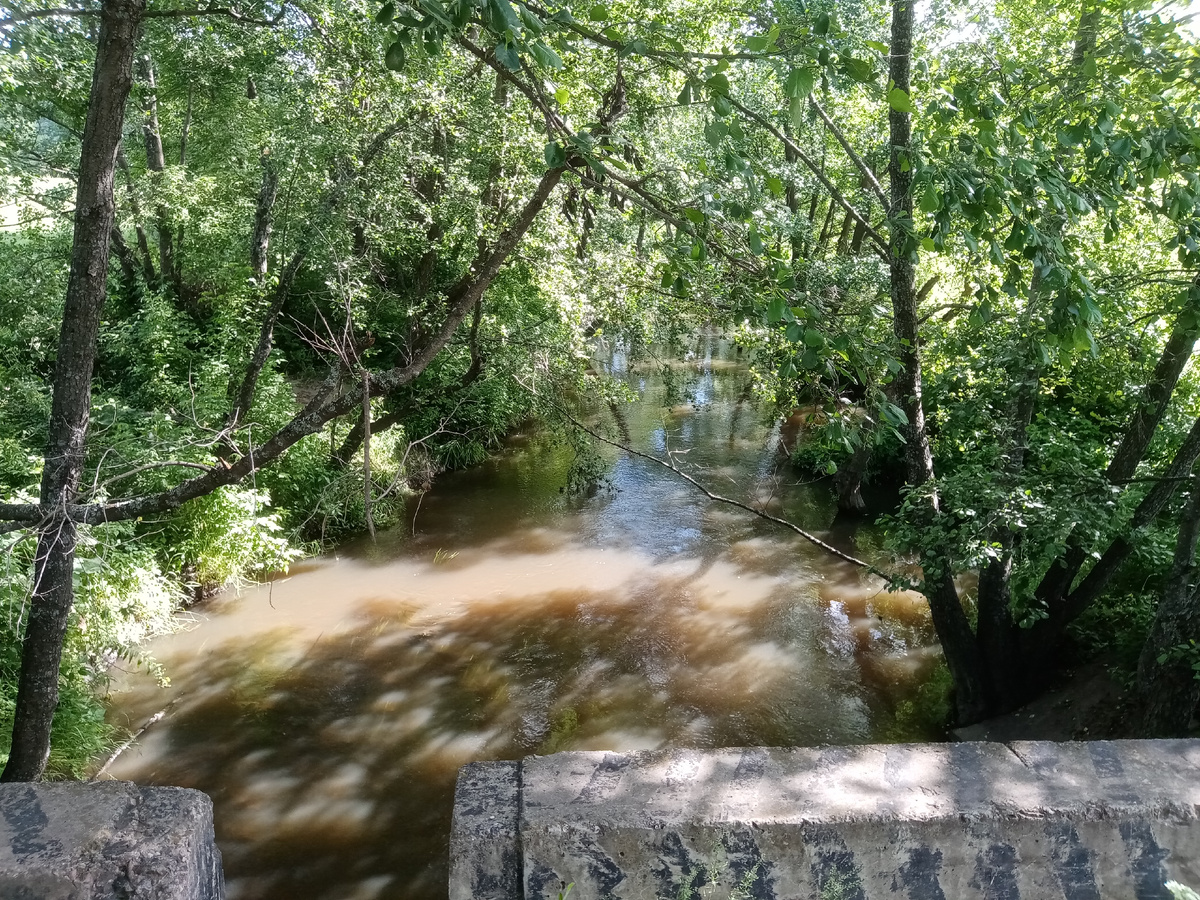 Вниз по течению