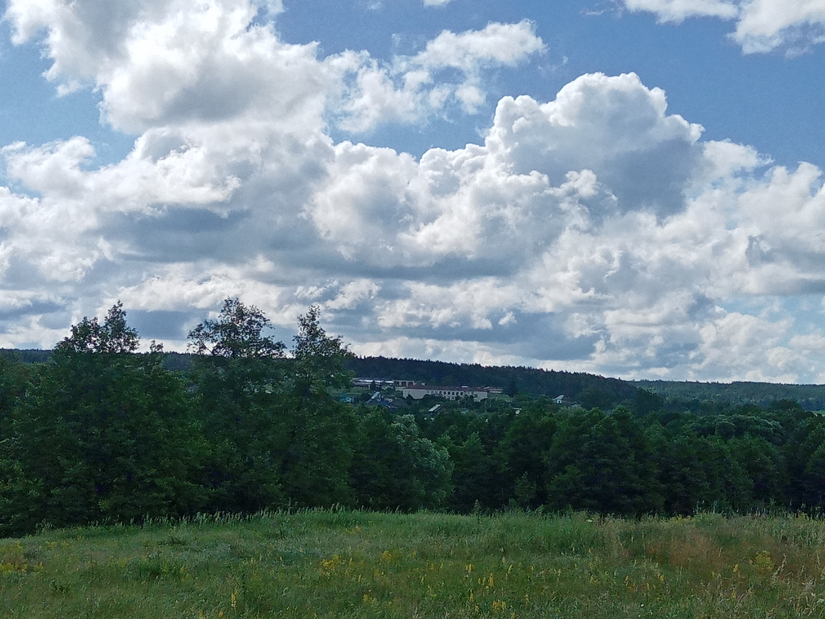 Вид на поселок Лесная Дача