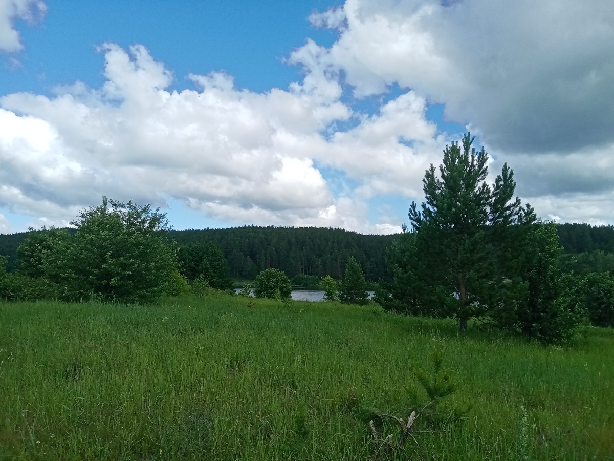 А вот и пруд