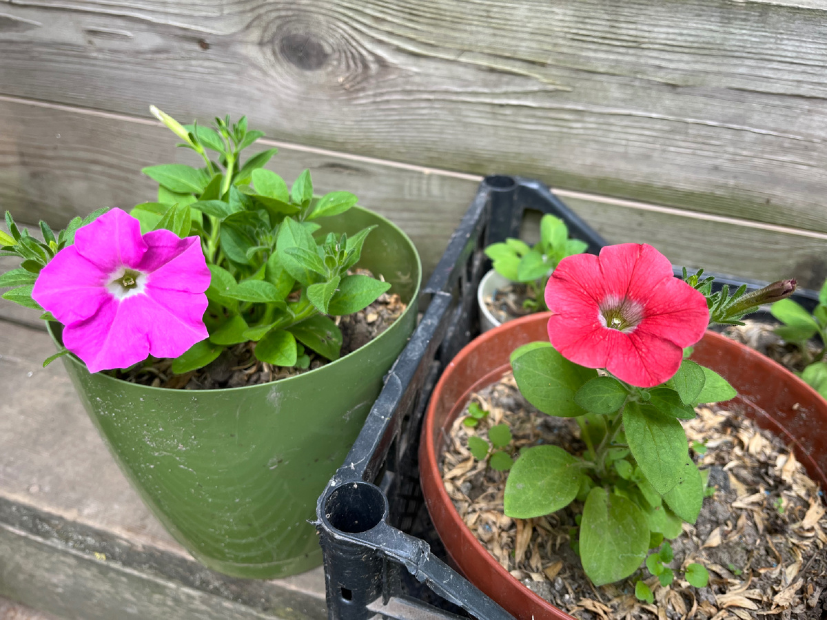 Моя радость 🥲