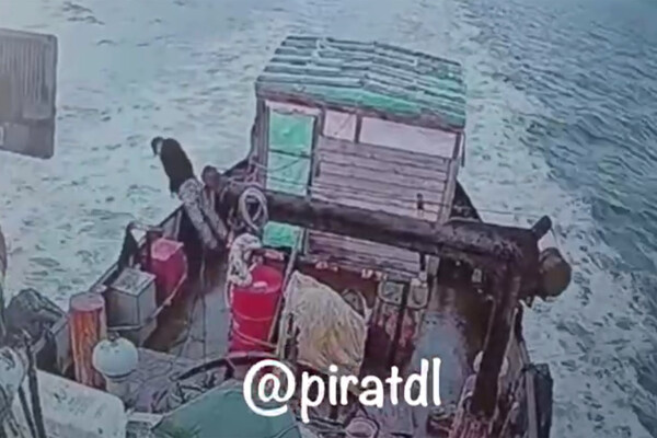 Телеграм-канал «Пиратская Бухта»  📷