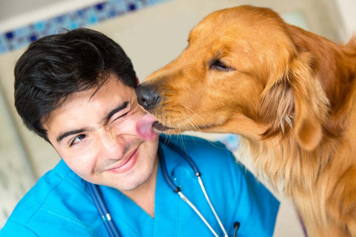 Собака лижет лицо ветеринара 