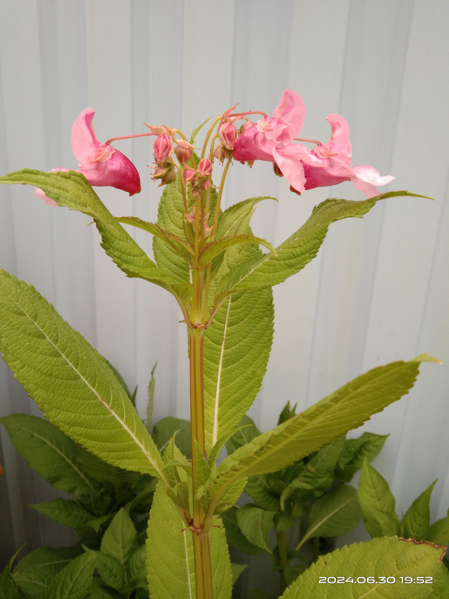 Фото из личного архива 